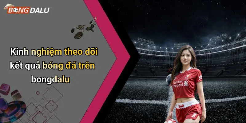 Kinh nghiệm theo dõi kết quả bóng đá trên bongdalu