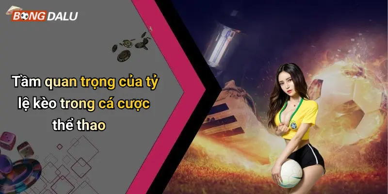 Tầm quan trọng của tỷ lệ kèo trong cá cược thể thao