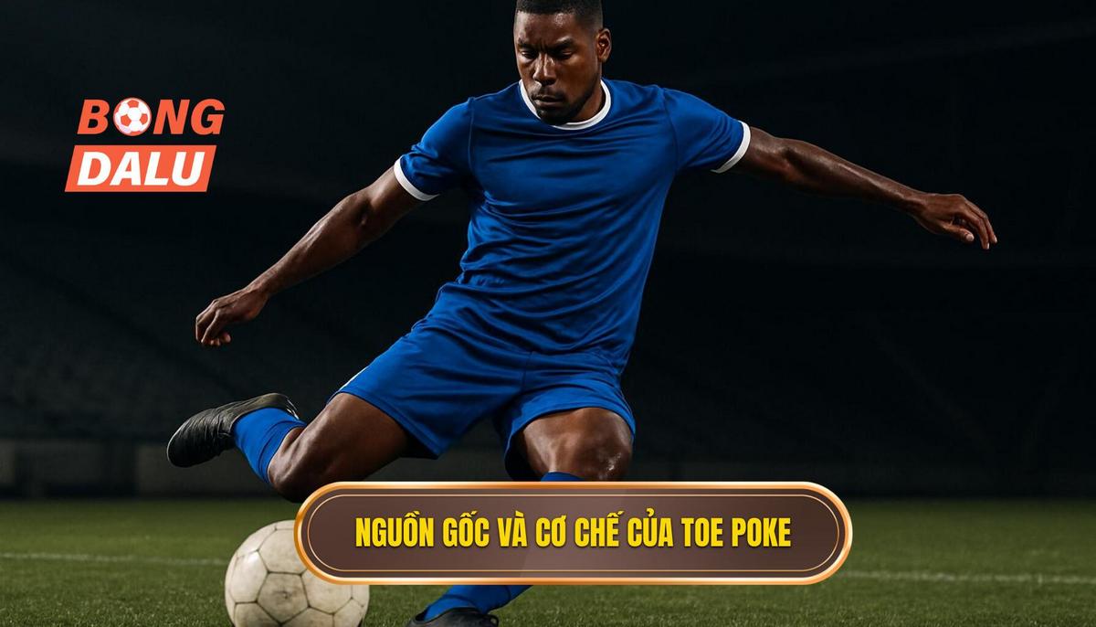 Nguồn Gốc và Cơ Chế Vật Lý của Toe Poke