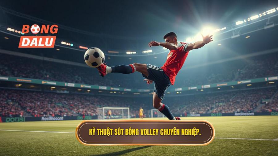 Hiểu rõ về kỹ thuật sút bóng volley trong bóng đá