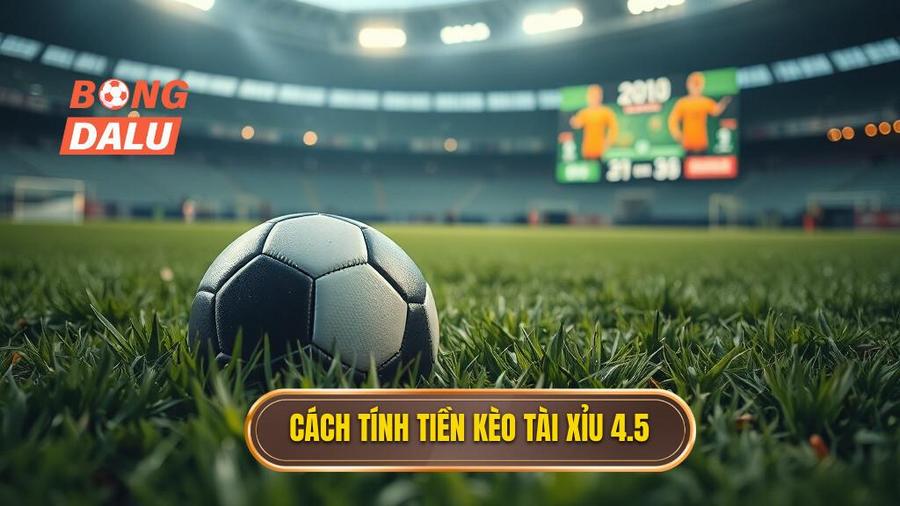 Cách tính tiền khi chơi kèo tài xỉu 4.5 toàn trận